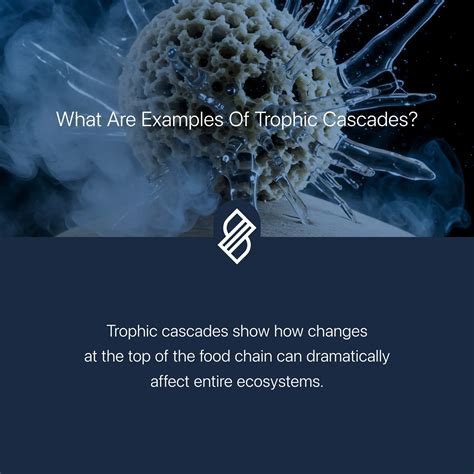 What Are Examples of Trophic Cascades? → Question