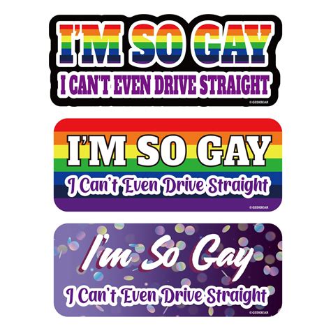 Amazon.com: GEEKBEAR I'm So Gay I Can't Even Drive Straight Car Magnet ...