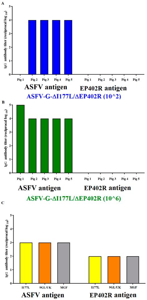 Deletion of the EP402R Gene from the Genome of African Swine Fever ...