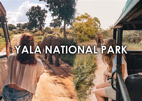 Yala National Park: The Wonders of Sri Lanka's Wildlife Paradise | SL ...