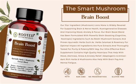 Buy Rooted Actives Brain Boost supplement for Focus, Memory, Brain ...