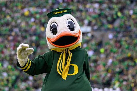 Oregon Duck mascot decapitated ahead of season-opener vs. Montana State