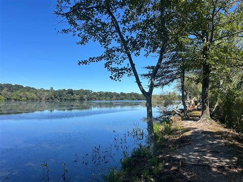 Best camping in Hither Hills State Park, NY 2025