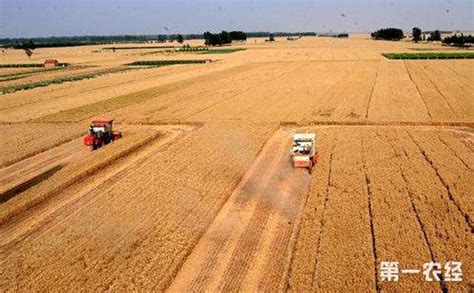 河南：麦收基本结束，今年喜获丰收创纪录！ - 地方动态 - 第一农经网