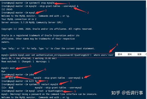 如何解决Linux忘记MySQL密码（按照步骤完全解决并创建新密码）_mysql 本地登录 无密码 linux-CSDN博客