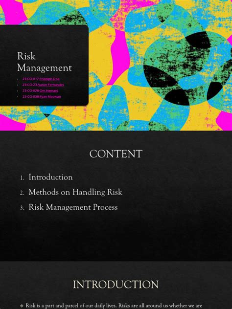 Risk Management Process PDF 的图像结果
