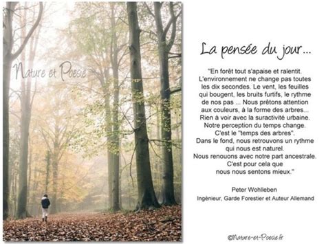 La Nature 的图像结果