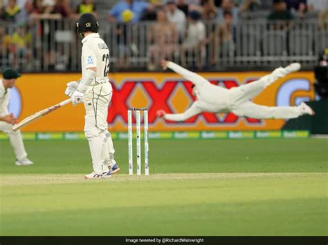 Cricket Fielding Positions: A Tactical Guide | ZAP Explains – ZAP Cricket