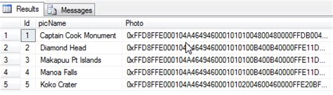 Image Data Type Name in SQL 的图像结果