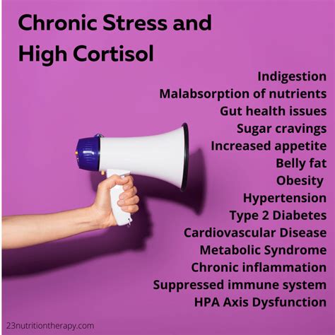 HPA Axis Dysfunction and Chronic Stress - 23 Nutrition Therapy