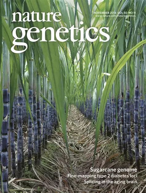 Nature杂志封面 的图像结果