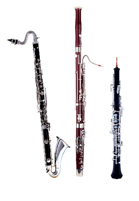 Clarinet And Oboe