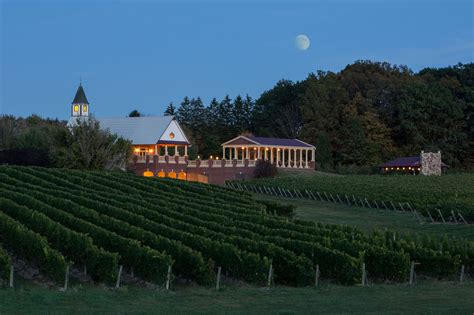 South River Vineyard