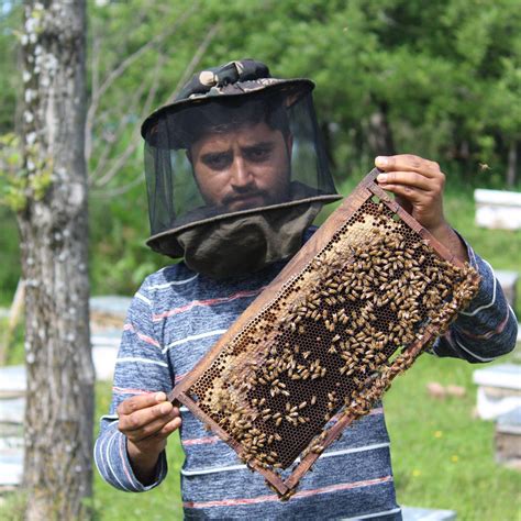 Empowering Local Beekeepers
