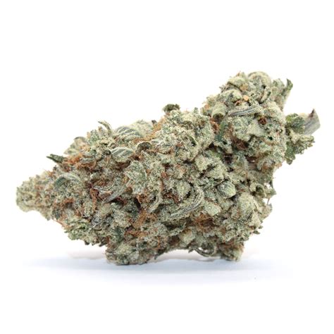 Permanent Marker Flower - Herbazon