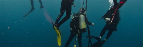 Explore the Depths: PADI AOW Diver in Rainbow Beach with PADI 5 Star ...
