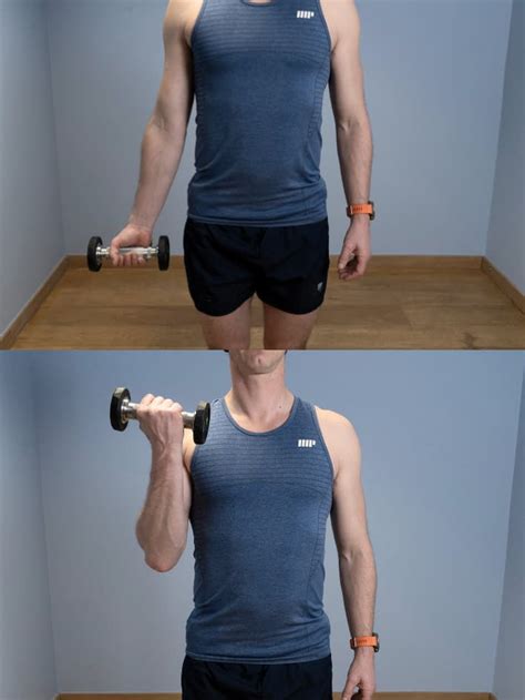 Programme Biceps 的图像结果