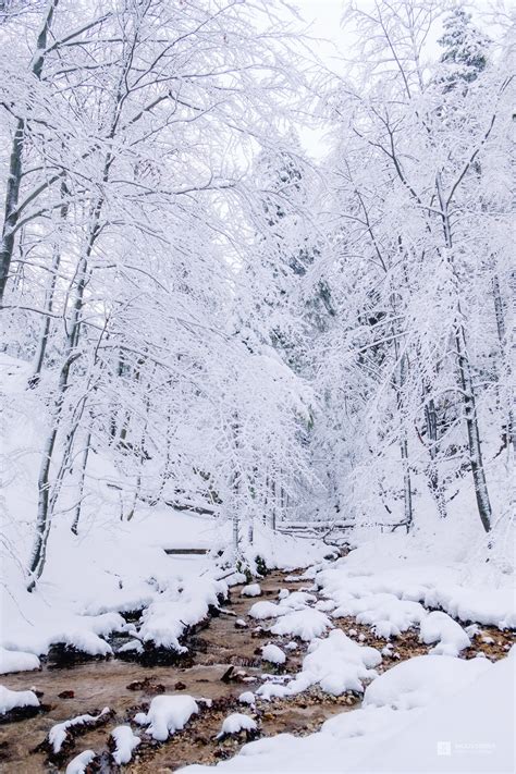 Adventure Landscape 的图像结果