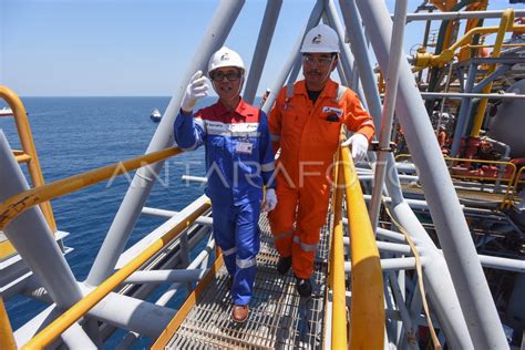 Vector Poleng 的图像结果