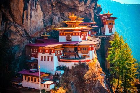 Image result for Bhutan Python Coders