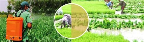 (ITS):: International Traceability Systems Limited :: Farm Planning ...