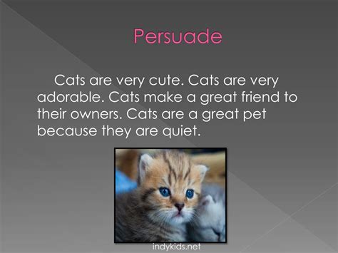 Image result for Cat Command in Shell Script