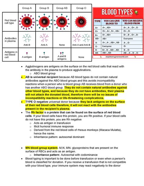 Blood Types Questions regarding compatibility - Agglutinogens are ...