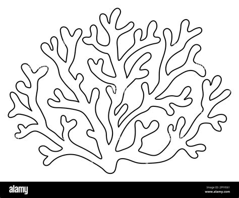 Underwater Coral Clipart