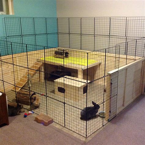 Indoor Rabbit Enclosure Diy at Savannah Szabados blog