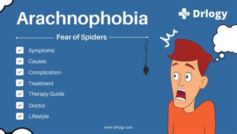Arachnophobia (Fear of Spiders) : Causes, Symptoms & Treatment | Drlogy