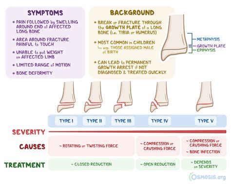Salter-Harris Fracture: What Is It, Types, Treatment, and More | Osmosis | Medical knowledge ...