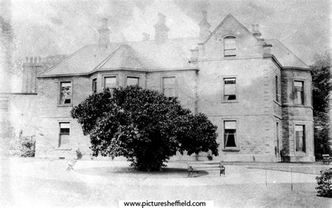 Searching Picture Sheffield