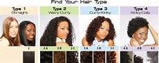 How To Determine Your Hair Type Texture by Hair Typing Does It Really Matter Kl S Naturals How To Determine Your Hair Type Texture