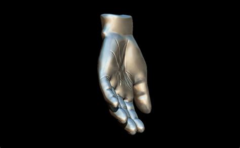 Hand 3D Model STL File