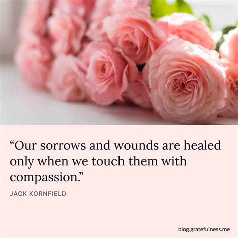 Compassion Quotes