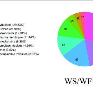 Dynamic Cellular Localization Chart 的图像结果