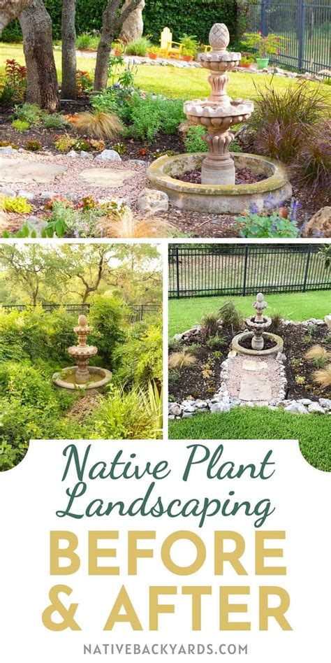 Native Plant Landscape Design 的图像结果