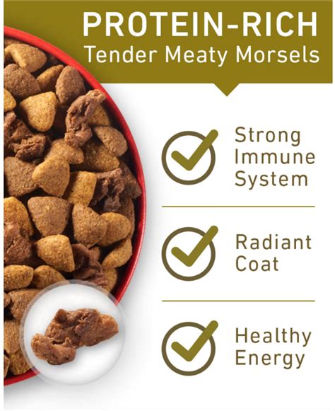 Purina ONE Lamb & Rice Formula Adult Dog Food - Chow Hound Pet Supplies