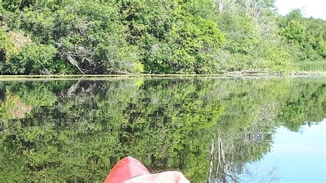 Drifters Outdoors Canoe & Kayak Rentals (Kemptville) - 2021 What to ...