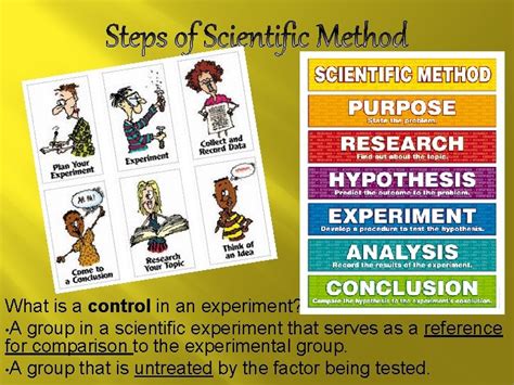 Controls in an Experiment Examples 的图像结果