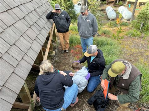 Wilderness First Aid , Pleasant Ridge Community Hall, Redmond, 2 August ...
