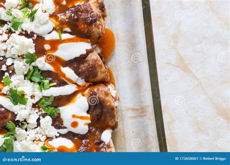 Vegetarian Mexican Cuisine