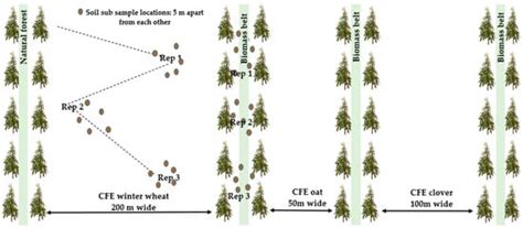 Insights into Beneficial Effects of an Agroforestry System on Soil ...