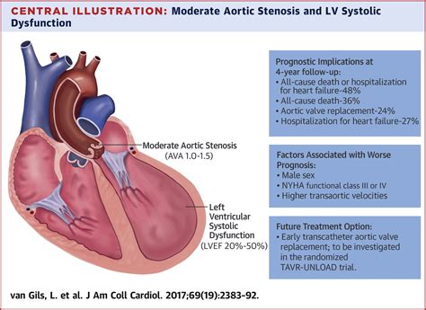Prognostic Implications of Moderate Aortic Stenosis in Patients With Left Ventricular Systolic ...