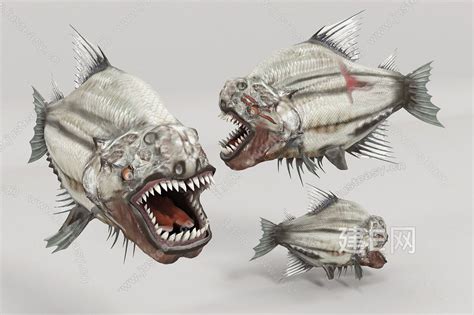 【现代食人鱼3d模型】建E网_现代食人鱼3d模型下载[ID:117197422]_打造3d现代食人鱼模型免费下载平台