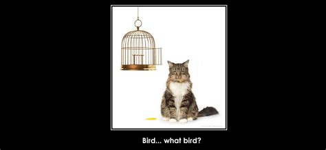 How to Take Process Monitor Traces 的图像结果