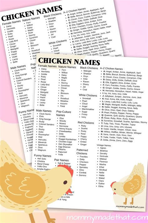 100+ Best Chicken Names: Funny, Cute, Old-Fashioned Ideas