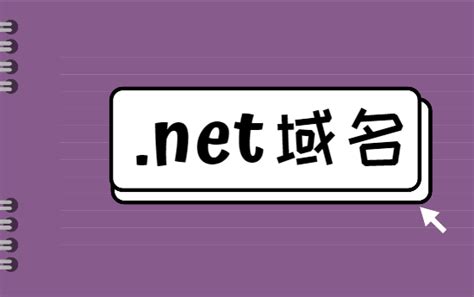 .net域名表示的是什么表示的是什么 - 美国主机侦探