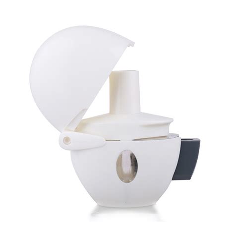 Image result for Using a Dry Powder Inhaler