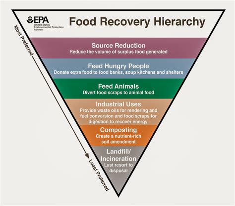 Biodegradable vs Compostable - What’s The Difference? - Zero Waste